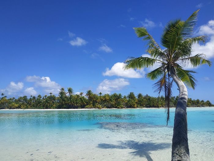 Lune de miel en Polynésie 🍯🌴 8