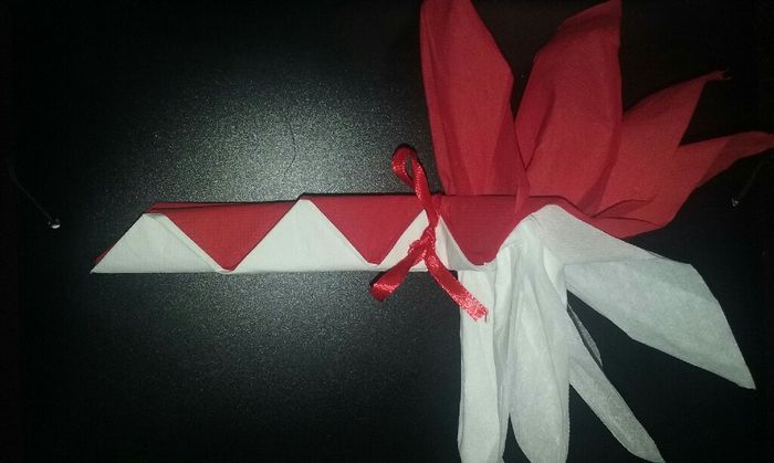 Pliage serviette - 1