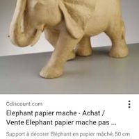 Thème livre de la jungle tropical inde - 10