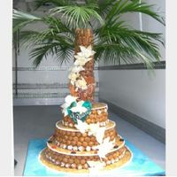 Thème livre de la jungle tropical inde - 12