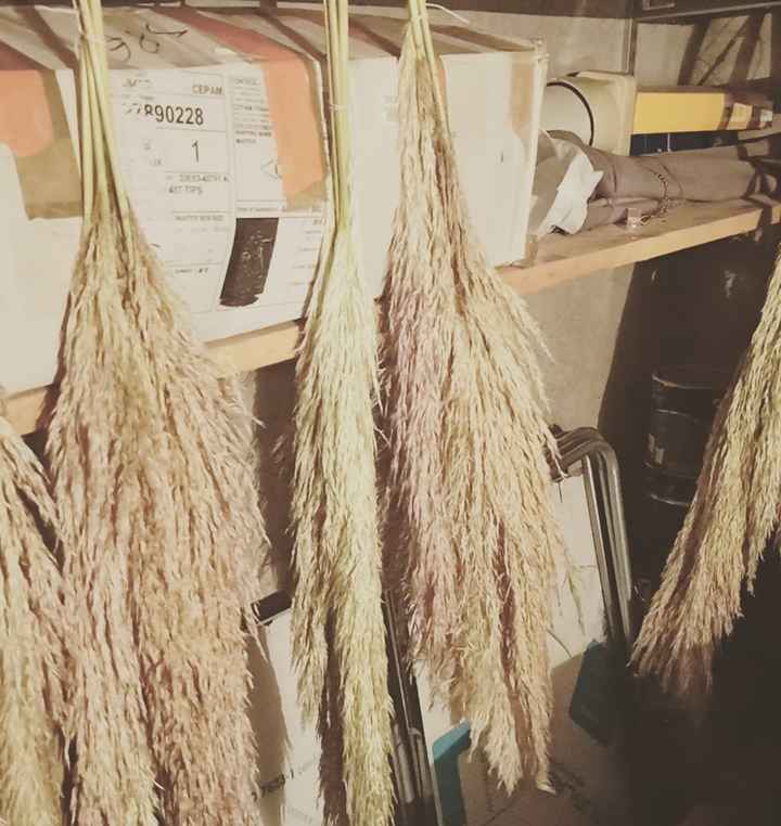 Stockage pampa - 1
