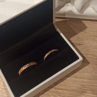 Alliances récupérées - 1