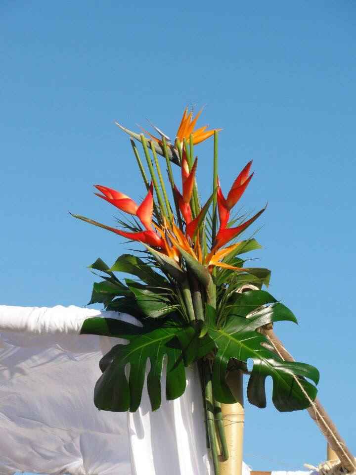 Monsieur & madame t - 17