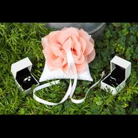 Photo de vos porte-alliances ! - 1