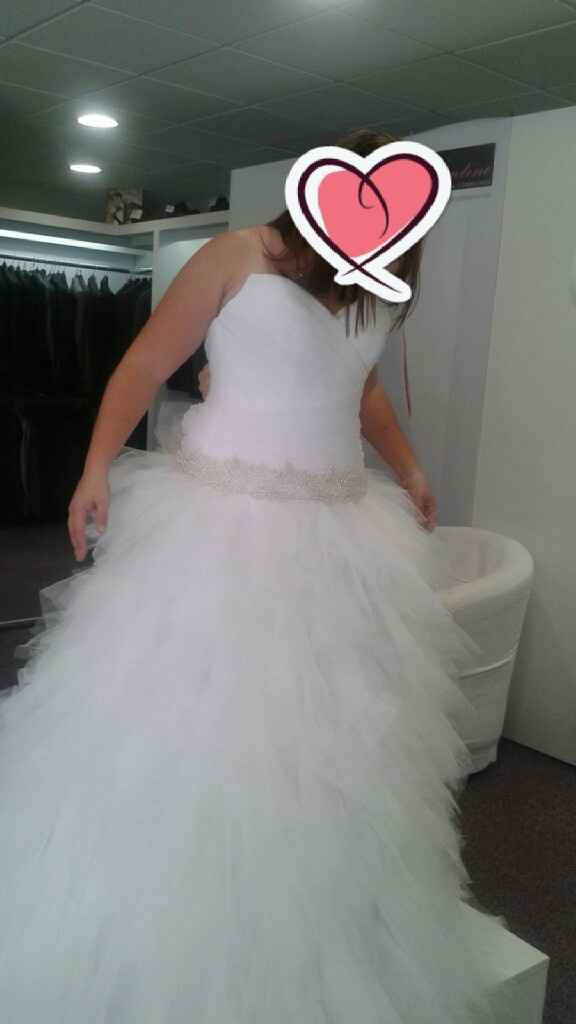  Avis robe Dolus églantine collection - 1