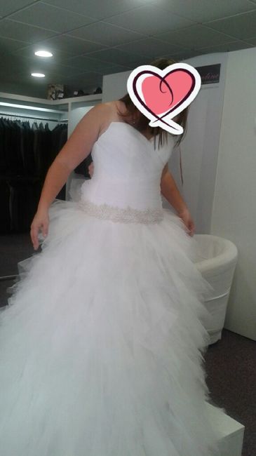  Avis robe Dolus églantine collection - 1