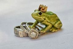 Inspi mariage princesse et la grenouille 8