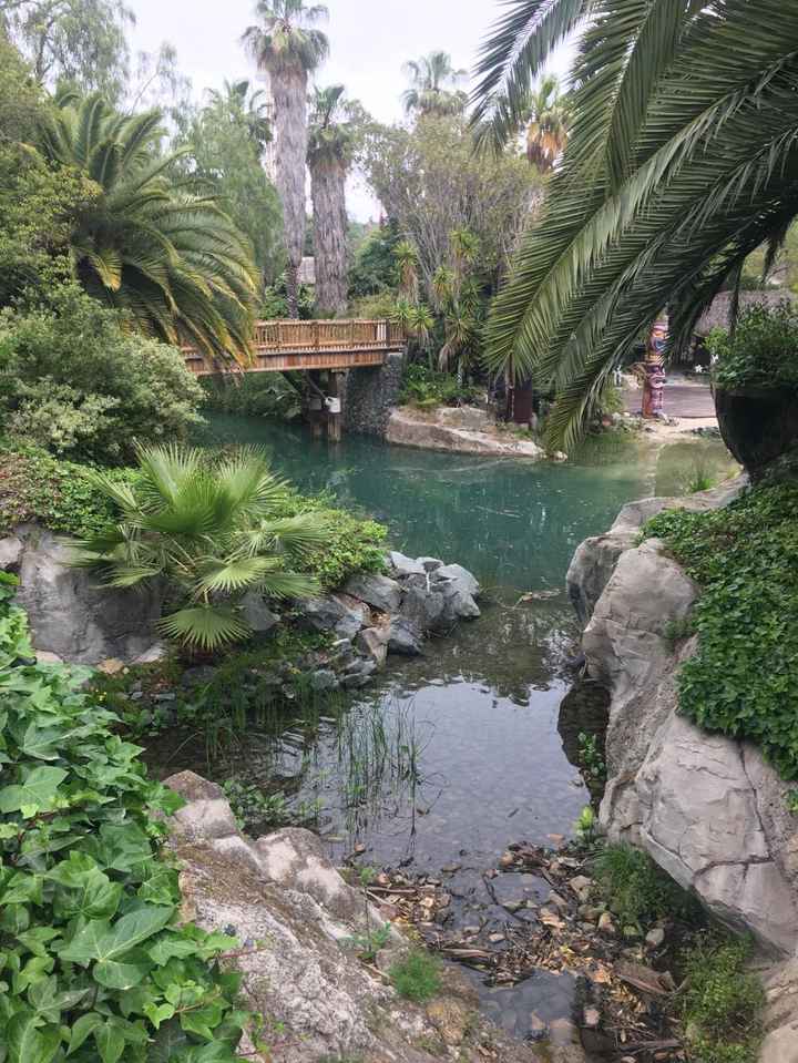 Vdn La 1ère Partie - 5