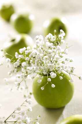 Inspiration du jour - 7