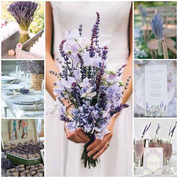 Inspiration provence lavande - 6