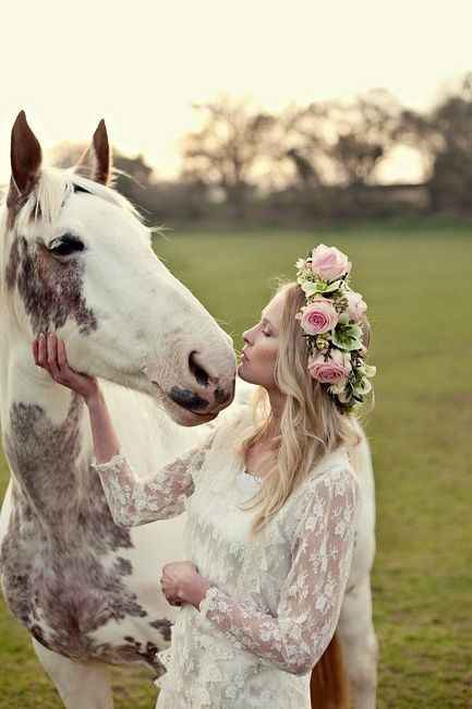 cheval 1