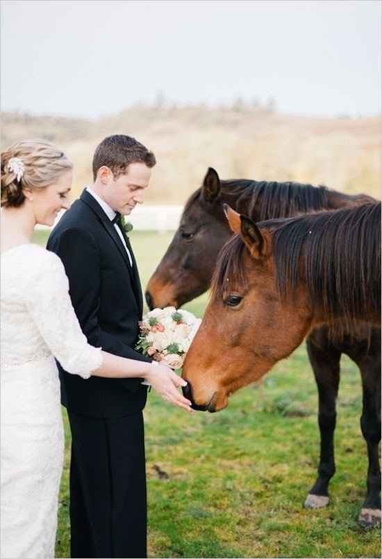cheval 3