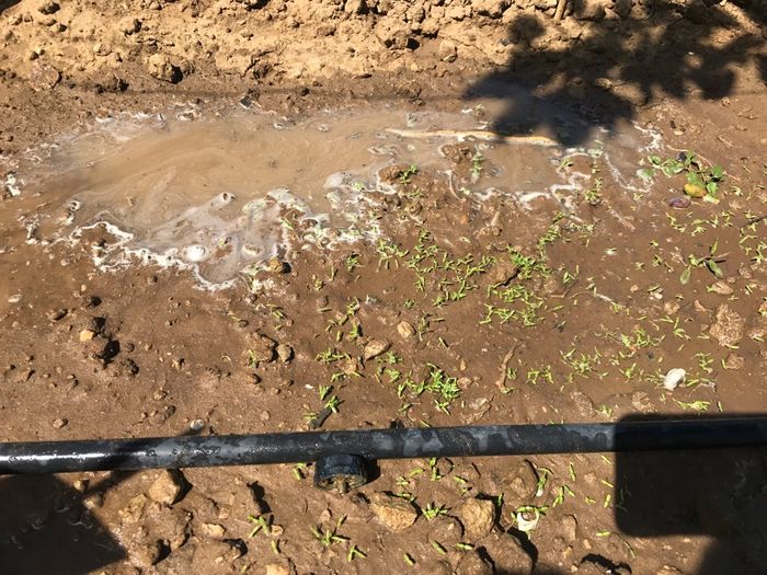 Ca avance - 1