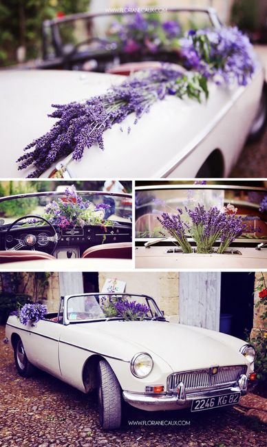 Inspiration provence lavande - 9