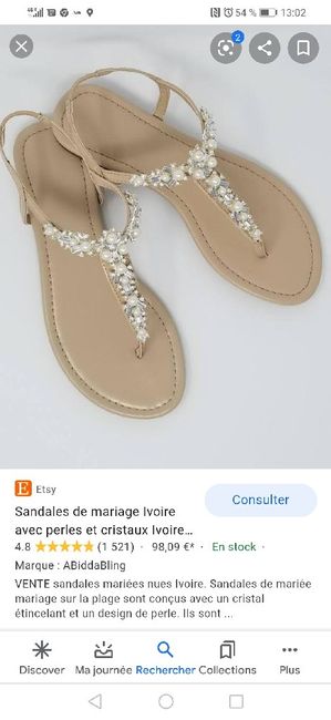 Chaussure 1
