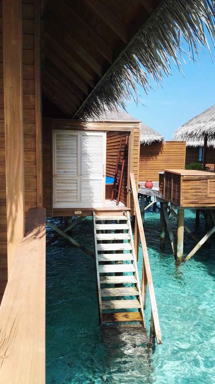 Maldives 