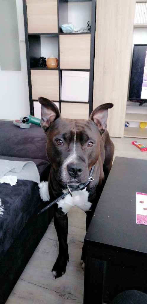 Oui 😁 ou non 😒  : Partie 4 - 1