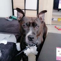 Oui 😁 ou non 😒  : Partie 4 - 1