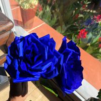 Je suis nouvelle - 1