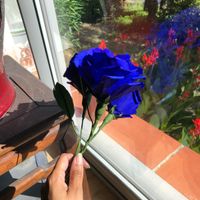 Je suis nouvelle - 2