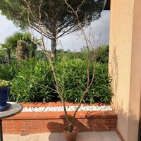 Je suis nouvelle - 1