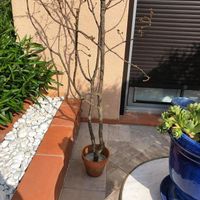 Je suis nouvelle - 2