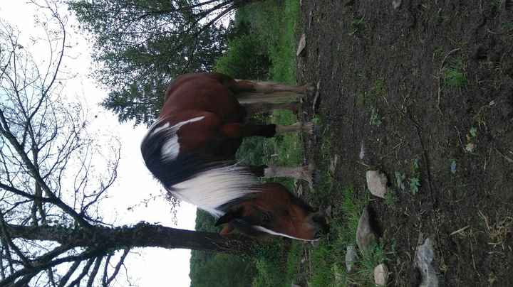 Ma comparse à droit à ses diy - 1