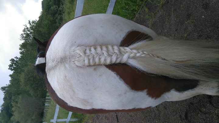 Ma comparse à droit à ses diy - 2