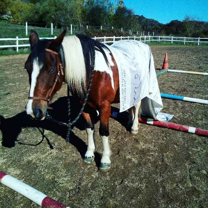 Pour rire un peu on s'entraîne :) - 2