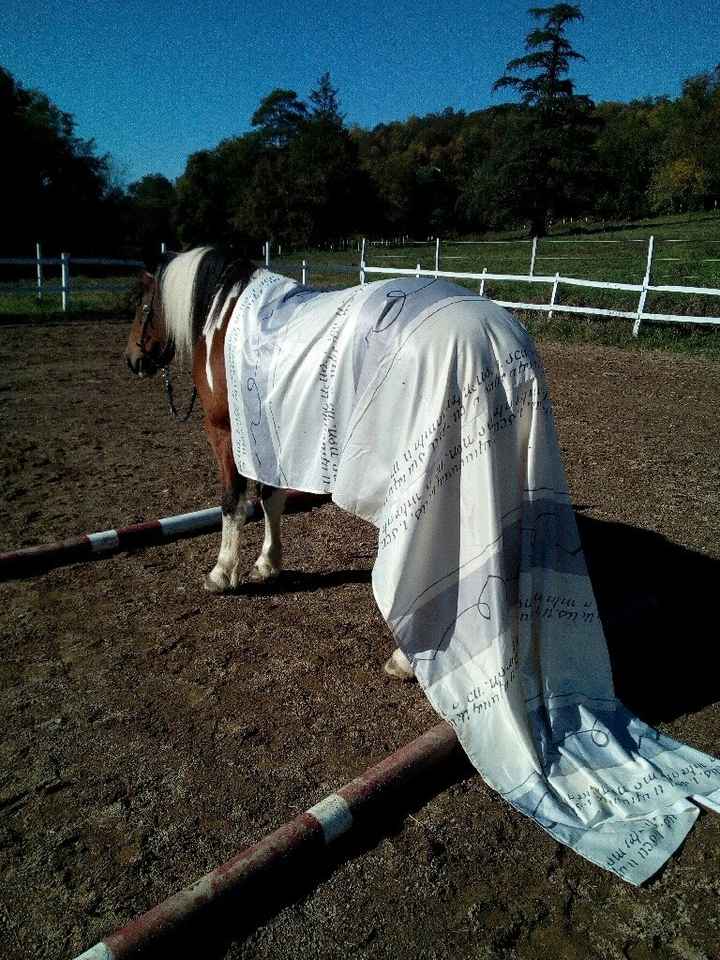 Y a-t-il des cavalières parmi vous? - 3