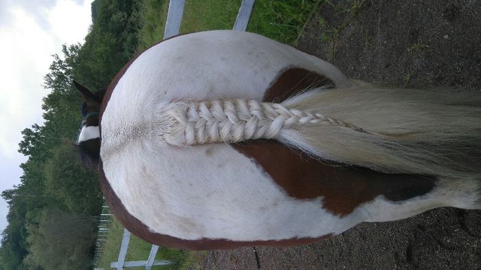 Ma comparse à droit à ses diy - 2