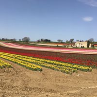 Cadeau invités - besoin avis - 2