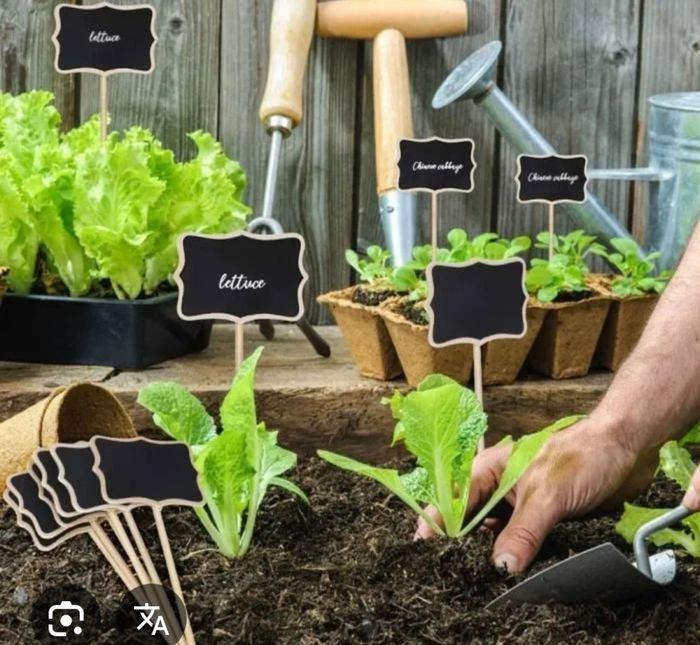 Le choix du plan de table : lequel préférez-vous 👈🪧👉 2