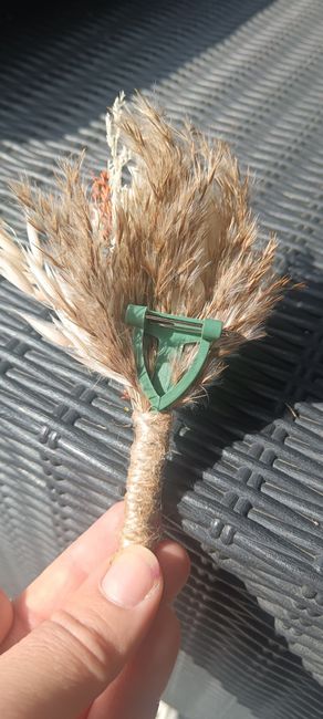 Créations du jour 💐 - 3