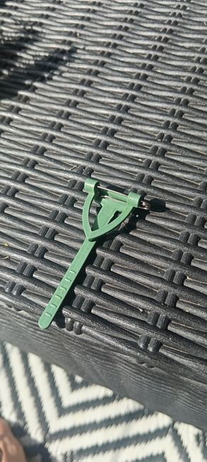 Créations du jour 💐 - 4