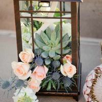 Cadeaux invités succulentes - 1