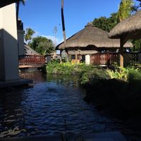 Vdn Île maurice besoin d'avis ! - 1