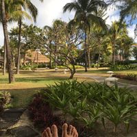 Vdn Île maurice besoin d'avis ! - 2