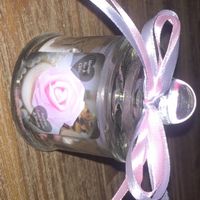 1er prototype dragees - 2