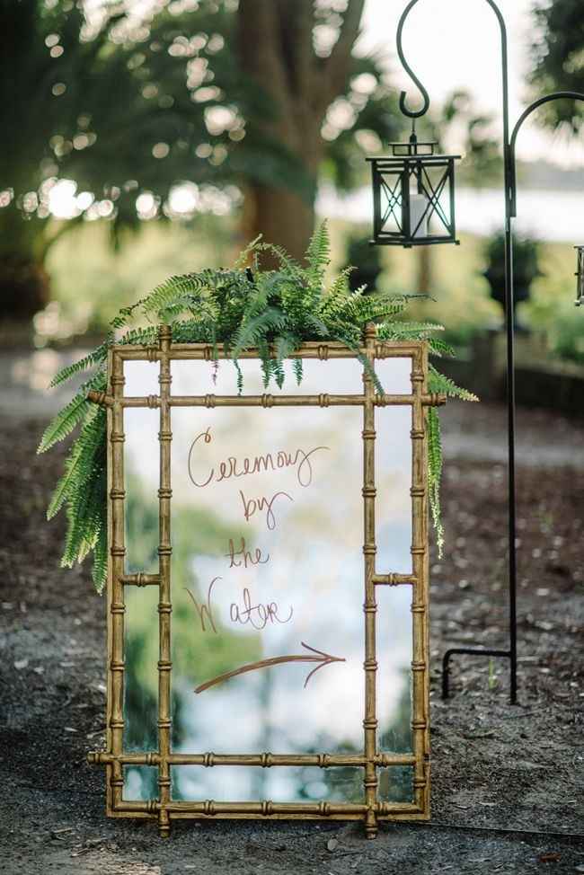 The Princess And The Frog