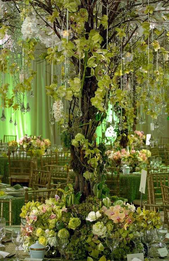 The Princess And The Frog