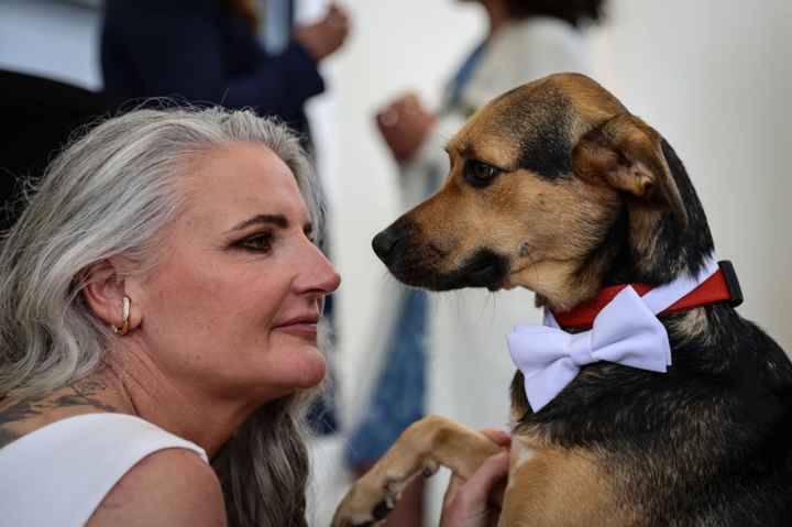Tous en habit de lumière ! - 1