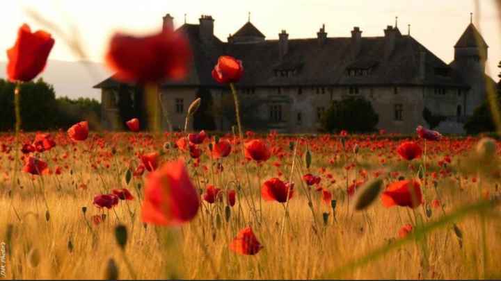 Comment sera ton lieu de mariage ? ⛪ - 1