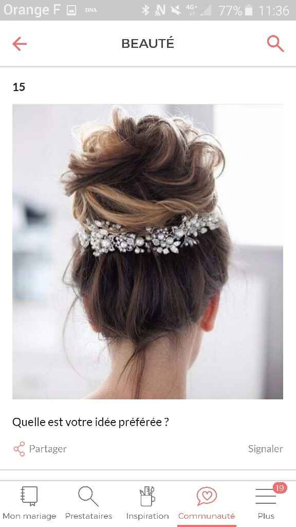 Quel accessoire pour vos cheveux??? - 1