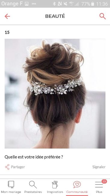 Quel accessoire pour vos cheveux??? - 1