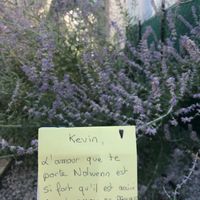 (Maj) Aidez moi a faire mon love note svp il me manque encore quelques departements .... - 1