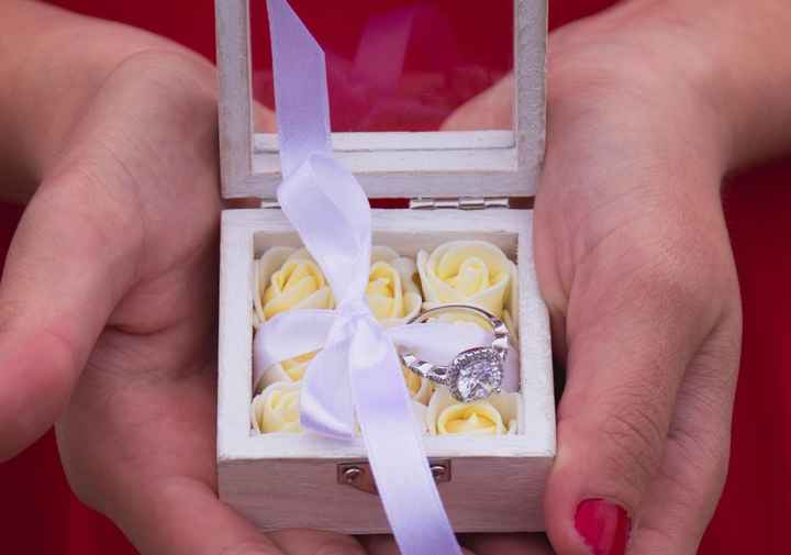 Ecrin porte alliance 