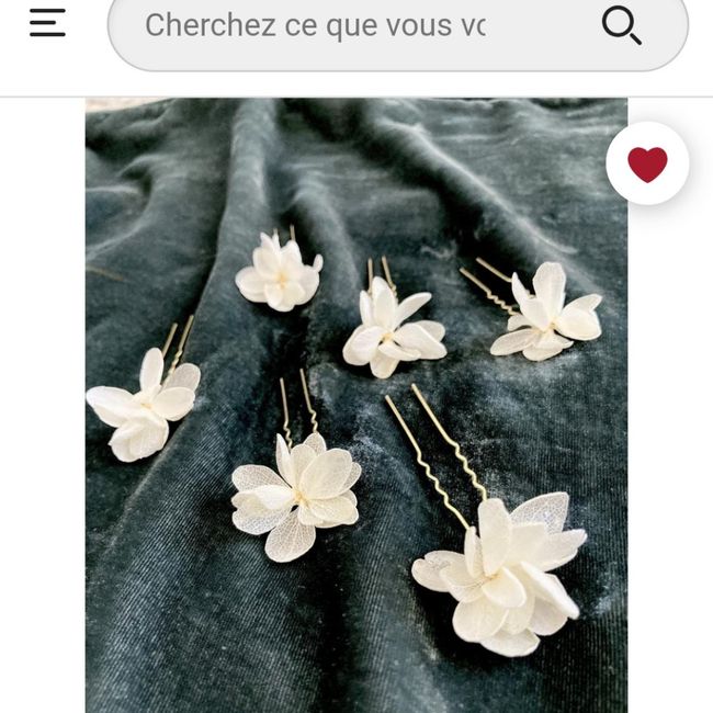 Quel accessoire cheveux - 1