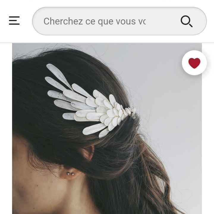 Accessoires de cheveux - 2