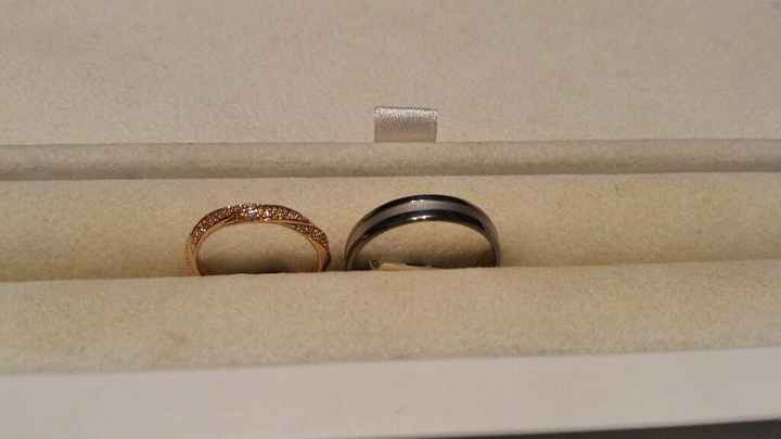  Nos précieuses !!! - 1